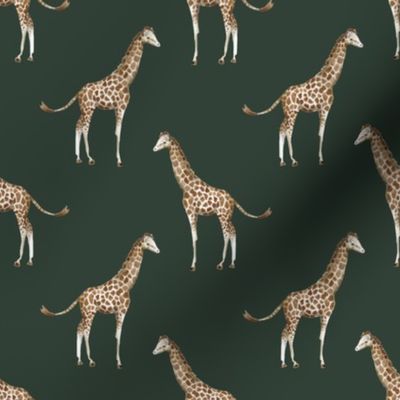 4" Giraffe Print Olive