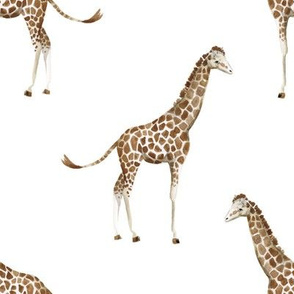 8" Giraffe Print 