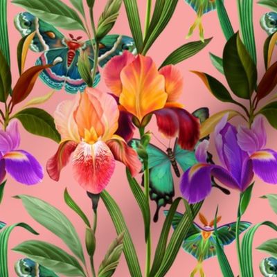 Irises and butterflies
