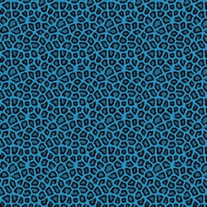 Blue Cheetah