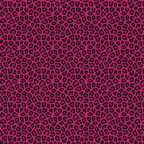 Pink Cheetah