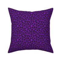 Purple Cheetah