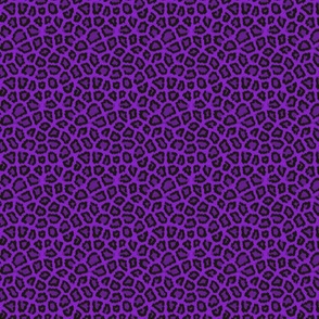 Purple Cheetah