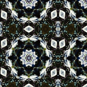 Black Peppers Kaleidoscope