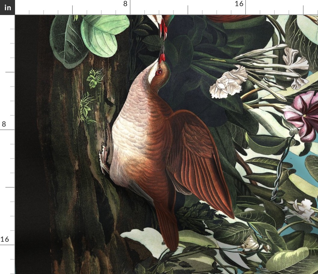 The Audubon Collection ~ Key West Doves on Eluned ~Border Print 