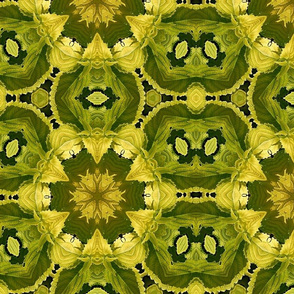 Green Dragon Circles Kaleidoscope