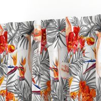 Flamingo birds, exotic orchid flowers and tropical leaves. Monochrome black and white colors