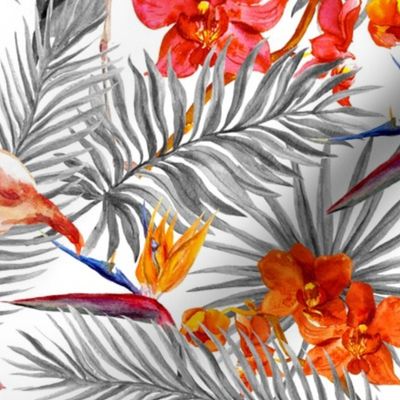 Flamingo birds, exotic orchid flowers and tropical leaves. Monochrome black and white colors