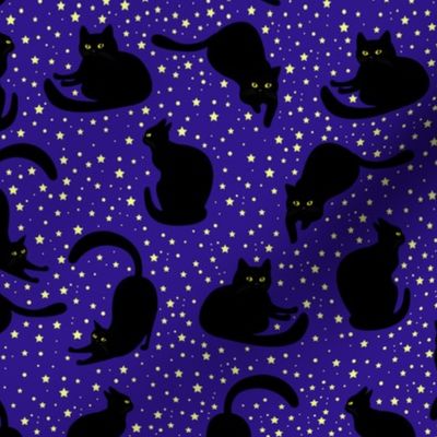 Black cats among the stars