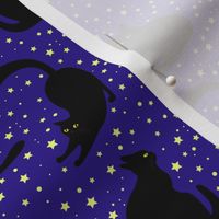 Black cats among the stars