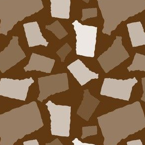 Connecticut State Shape Pattern Brown Light Brown