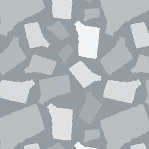 Connecticut State Shape Pattern Grey, Light Grey