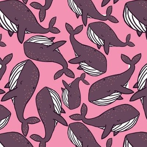 Whales Whales Everywhere Pink