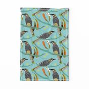 Wattle bird blue small