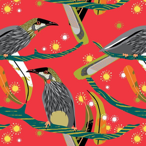Wattle bird Christmas red