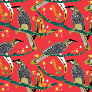 Wattle bird Christmas red