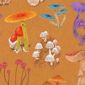 Big Pencil Mushrooms