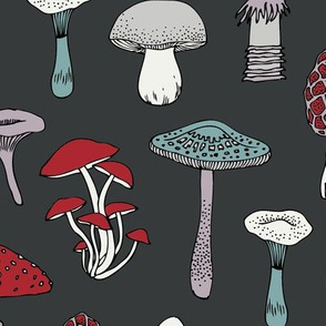 Midnight Mushrooms - red and white on dark grey - Large scale