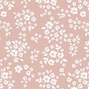 Whimsy dusty pink 