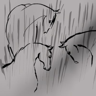 horse companionship, grey