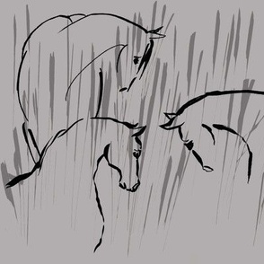 horse companionship, grey