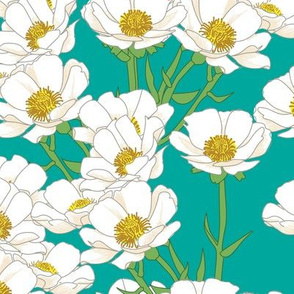 Mount Cook Buttercup Flowers on Teal