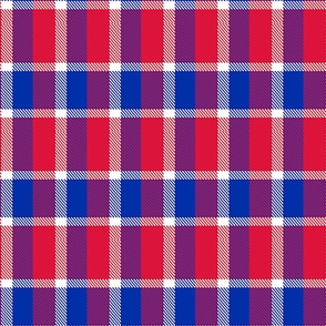 Checked  Plaid  in Red White and Blue Patriotic USA America