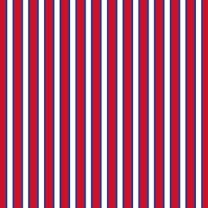 Verticle Stripes in Red White and Blue Patriotic USA America