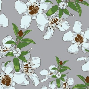 Manuka Flowers on Grey