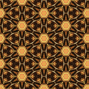 Earth tones kaleidoscope web