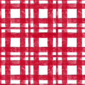 Winter Watercolor Red Gingham 