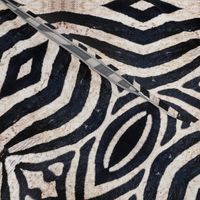 zebra abstract