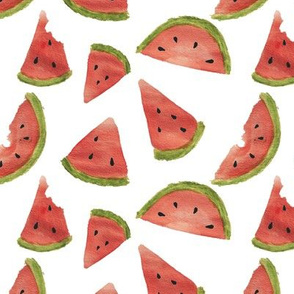 Melon Party Watermelon Watercolor