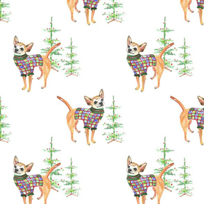 Holiday_Chihuahua