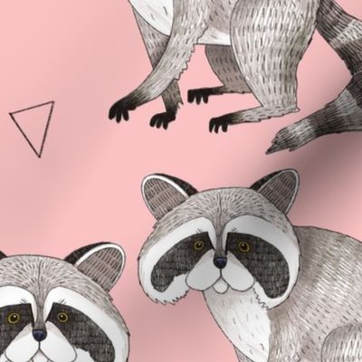 Sweet Raccoons - Scattered on Pink
