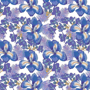 sweet purple iris