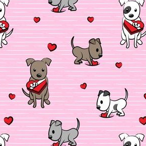 Cute Valentine Pitties - pink stripes -  pit bull valentines day - LAD19