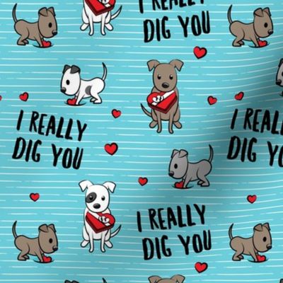 I really dig you! - blue stripes - pit bull valentines day - LAD19