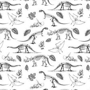 4" Dino Fossils Sketch 