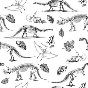 8" Dino Fossils Sketch 