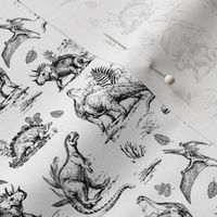 4" Dinosaur Land Sketch Black and White