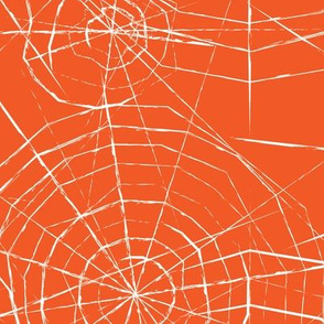 spiderwebs on orange