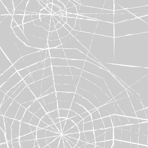 spiderwebs on light grey