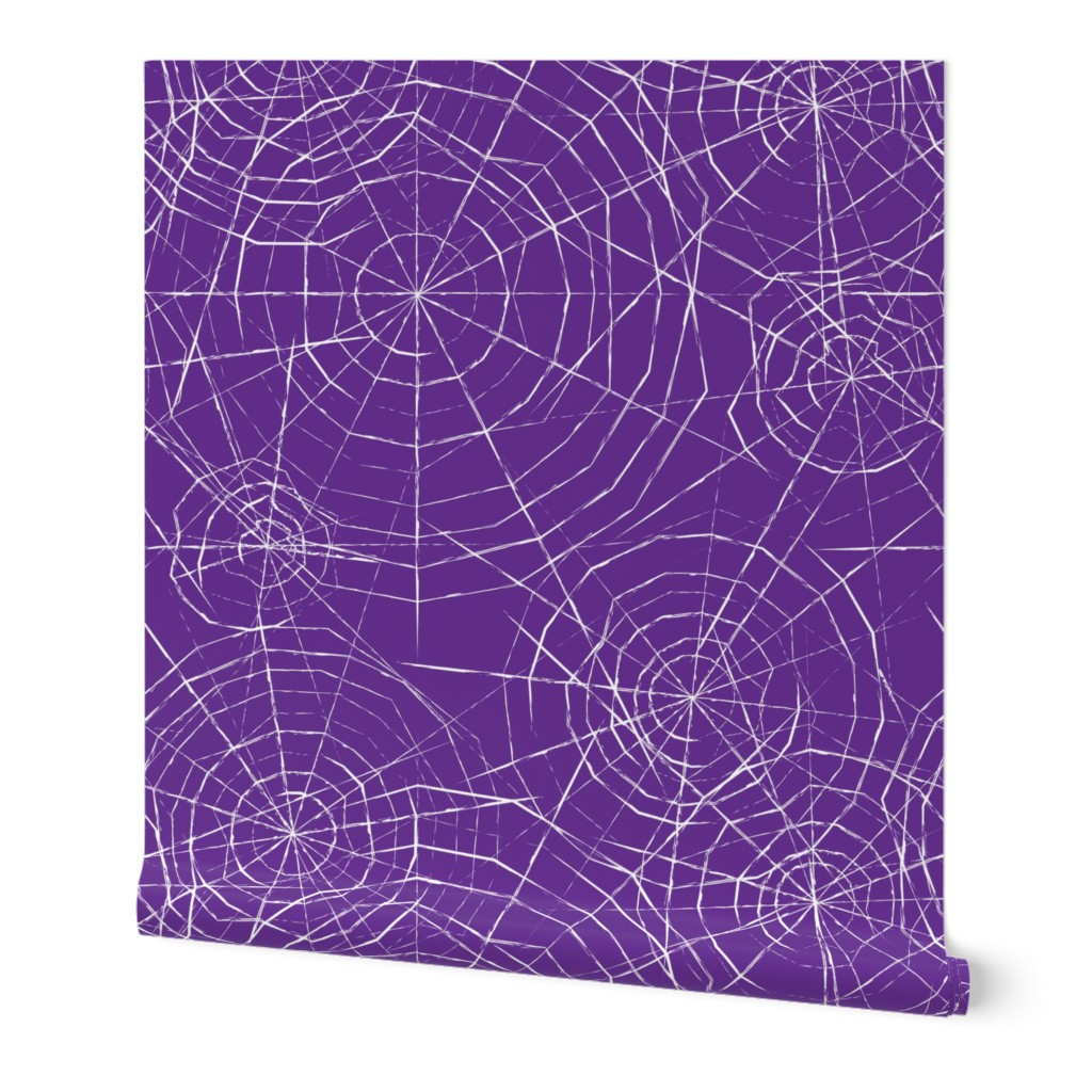 spiderwebs on purple