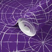 spiderwebs on purple