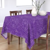 spiderwebs on purple