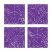 spiderwebs on purple