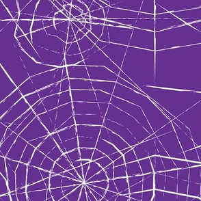 spiderwebs on purple