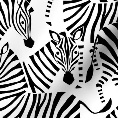 Zebra Black and White