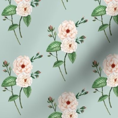 Roses Soft Peach Pale Blue Grey